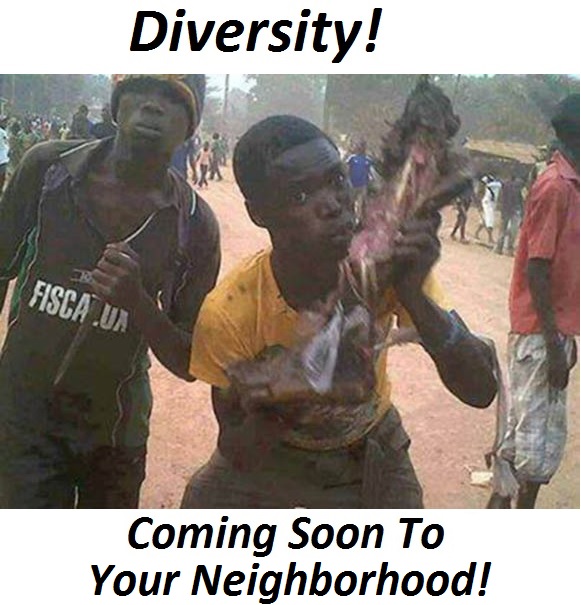 diversity