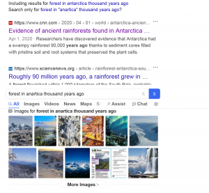 Antarctica-had-a-swampy-rainforest-90000-years-ago-Screenshot-at-DuckDuckGo